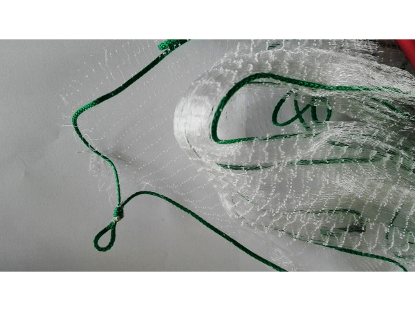 SITTEC - Čeřenová síťka monofil 1x1m, oka 8x8mm