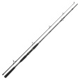 DAIWA - Prut Seahunter X Pilk Cod, 2,70m, 40-120g, 2D