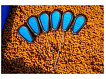 PRESTON INNOVATIONS - Struna Floater Tools Diamond Eye