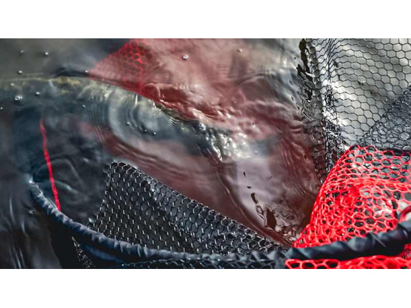 Fox Rage Speedflow Landing Nets