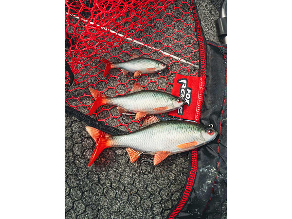 Fox Rage Ultra-Realistic Roach Replicant