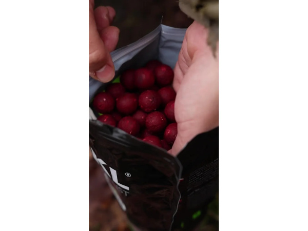 Nikl Ready boilie Gigantica