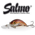Salmo - Wobler Rattlin hornet Floating 4,5cm