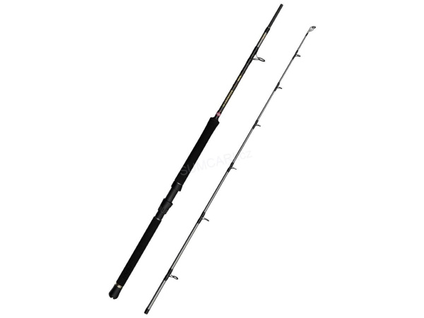 PENN - Prut Regiment IV Boat 2,13m, 30-50lb, 2D