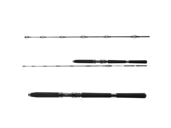 DAIWA - Prut BG deep sea boat rod 2,2m 30-40lb 2D