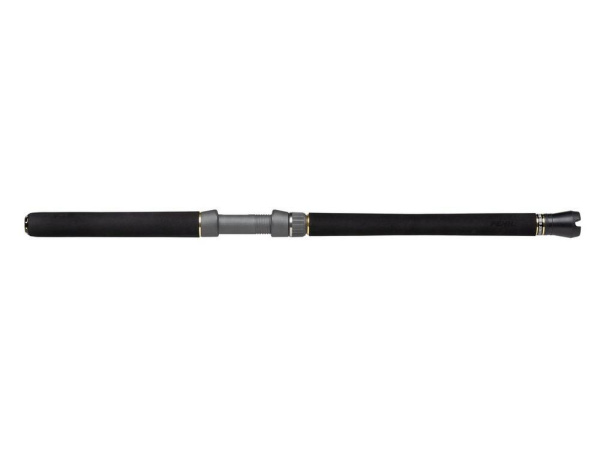 PENN - Prut Regiment III Halibuster 2,4m, 30-50lb, 2D