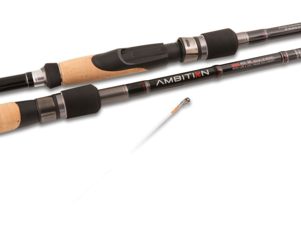 Prut Rapture Ambition M 2,40m/2-14g