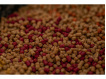 SONUBAITS - Stiki method pellets 2mm, 650g