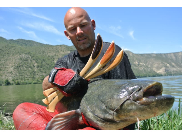 Vábnička Hell-Cat velká půlkulatá II