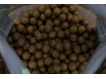 Karel Nikl Nikl Economic Feed Boilie Rape Cloud 5kg