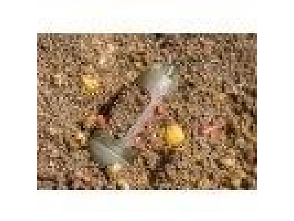 Preston Krmítko Absolute Window cage feeder xlarge 45g