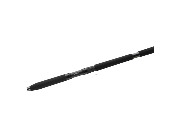 DAIWA - Prut BG deep sea boat rod 2,2m 30-40lb 2D