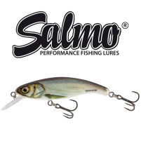 Salmo - Wobler Slick stick floating 6cm - holo bleak