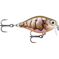 Rapala wobler X-Light Crank Shallow Runner Floating, rattling 4g 3,5 cm PUPU