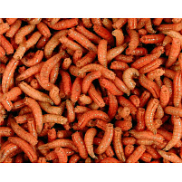 Mivardi larva oranžová l (1L=600gr.)