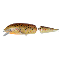 Dorado Bom-bon 13cm - TR