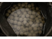 Karel Nikl Nikl Economic Feed Boilie Rape Cloud 5kg