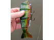 Fox Rage Strike Point Hitcher Rattle