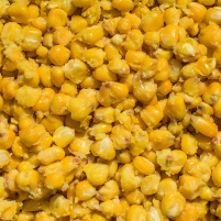LK Baits IQ Method Feeder Corn 1kg Corn Honey - VÝPRODEJ!