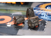 FOX - Removable Flying Back Weights 10g ,5ks