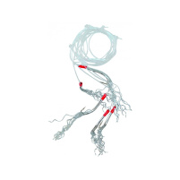 ICE fish - Makrelový návazec STRONG - 3/0 - 0,90/ 0,60mm - 180cm