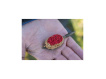 PRESTON INNOVATIONS - Krmítko ICS In-line dura flat method Small - 20g