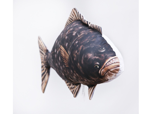 GABY - Polštář Halibut 72cm