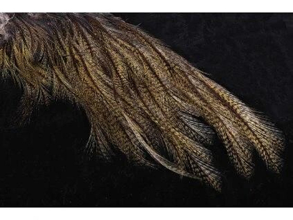 HENDS - Mayfly tail - Olivová barvená