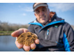 SONUBAITS - Krmítková směs Match methodmix 2kg