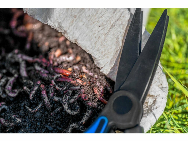 PRESTON INNOVATIONS - Nůžky Worm Scissors