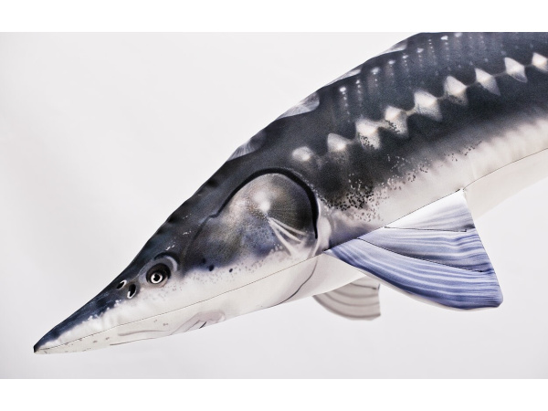 GABY - Polštář Jeseter Velký 120cm