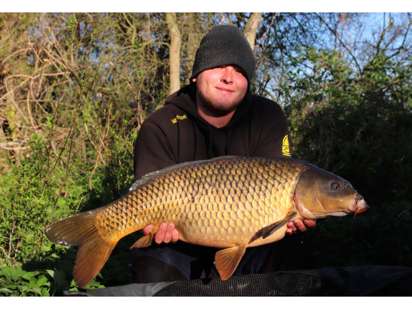 Mivardi Rapid Boilies Easy Catch - Ananas + N.BA. (950g | 16mm)