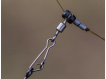 PRESTON INNOVATIONS - Průjezd Feeder Beads
