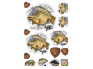 Giants fishing Mix nálepek Giants Fishing Kapr lysec ( 14ks )