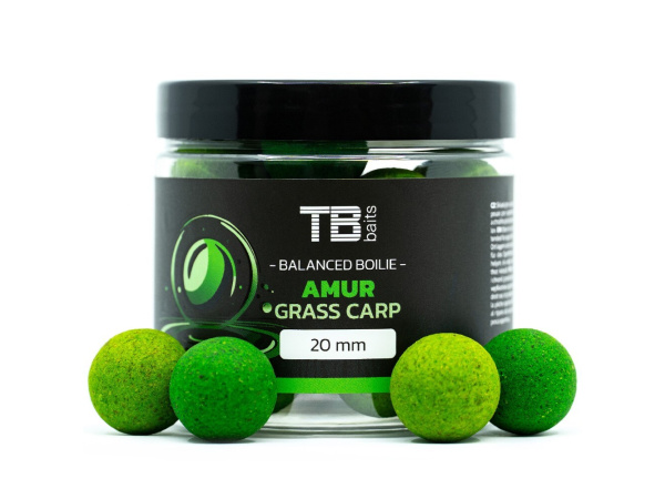 TB baits - Vyvážené Boilie Balanced + Atraktor Amur, 100g, 20mm