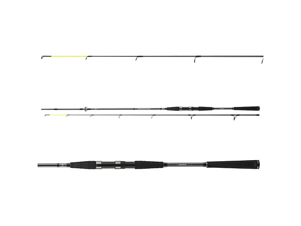 DAIWA - Prut Seahunter X, 2,70m, 30-60g, 2D