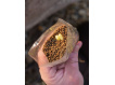 Giants fishing PVA sáčky Bags, 25ks (mega pack)