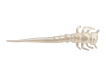 Berkley - Gumová Nástraha PowerBait Swordtail, 3cm, 14ks