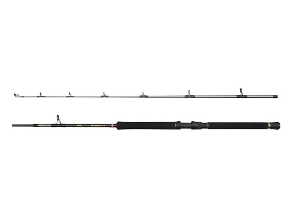 PENN - Prut Regiment IV Boat 2,13m, 20-30lb, 2D