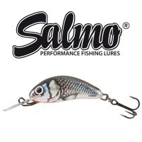 Salmo - Wobler Hornet sinking 2,5cm