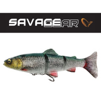 SAVAGE GEAR - Nástraha 4D Line thru trout 15cm / 35g - Green silver