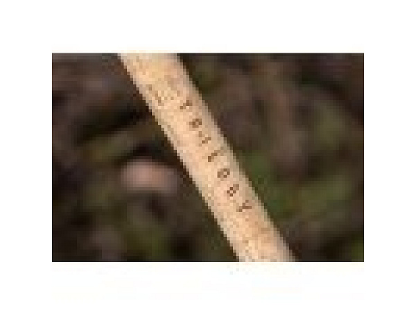 KORUM - 3K Trilogy Triple Tip 3,66 m 1,75 lb/2,2 lb/1,5 lb Power Quiver, 3D