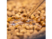 SONUBAITS - Clear Pellet Oil, 250ml