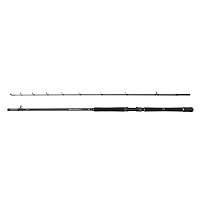 PENN - Prut Squadron IV Halibut Cast, 2,4m, 20-30lb, 2D
