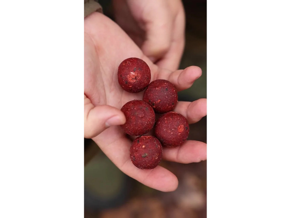 Nikl Ready boilie Krill Berry