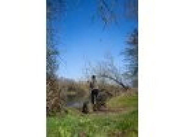 KORUM - 3K Trilogy Triple Tip 3,66 m 1,75 lb/2,2 lb/1,5 lb Power Quiver, 3D