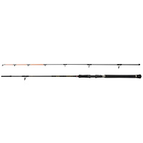 PENN - Prut Regiment IV Spin/Pilk 3,04m, 20-70g, 2D