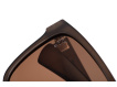 FOX - Brýle Avius Trans Khaki Brown Lens