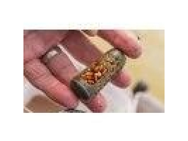 Preston Krmítko Absolute Window cage feeder xlarge 45g