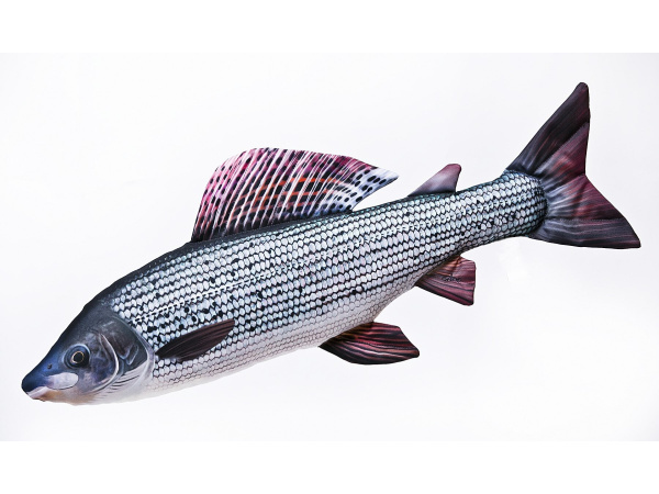 GABY - Polštář Lipan Podhorní 65cm